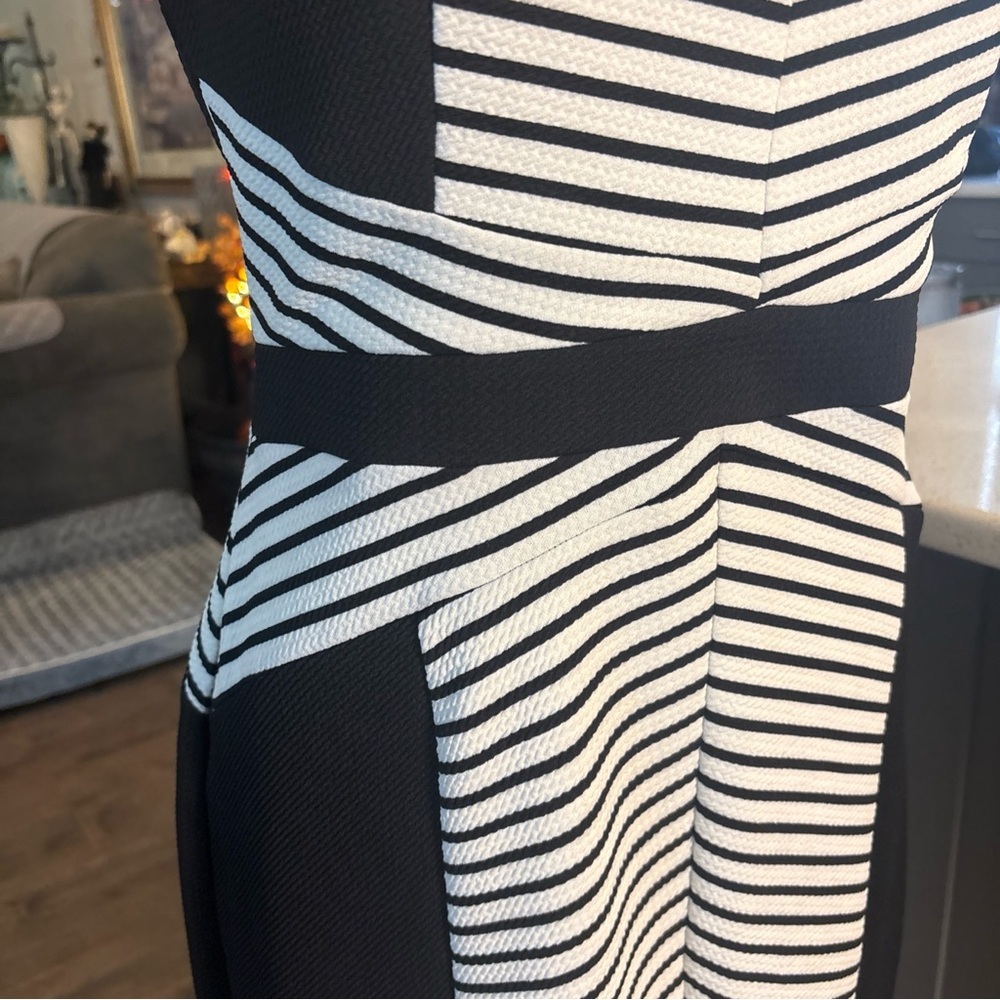 Shelby & Palmer Black and White Striped Dress - Picture 4 of 7
